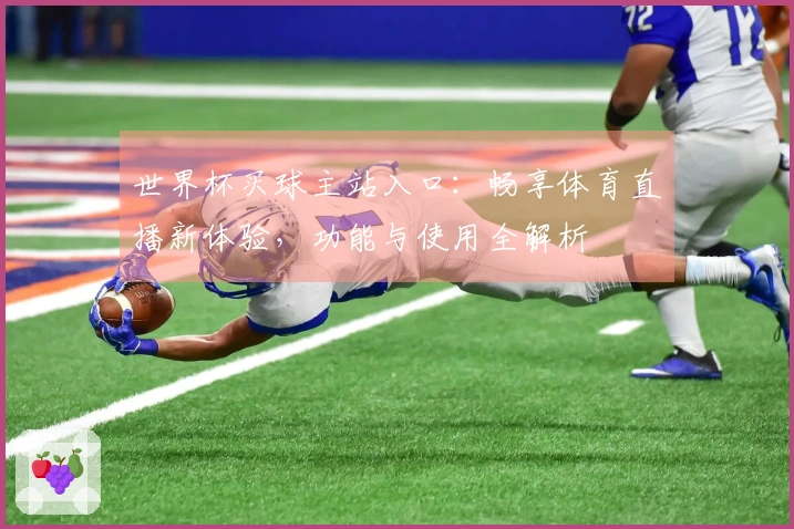 世界杯买球主站入口：畅享体育直播新体验，功能与使用全解析