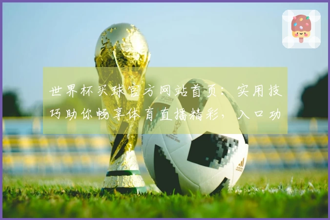 世界杯买球官方网站首页：实用技巧助你畅享体育直播精彩，入口功能全方位上手体验