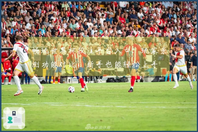 畅玩世界杯投注平台入口：玩家亲测功能对比，新手也能轻松上手
