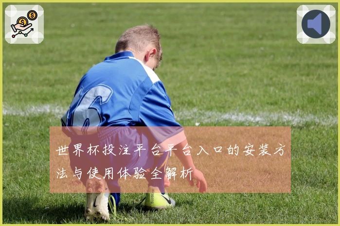 世界杯投注平台平台入口的安装方法与使用体验全解析