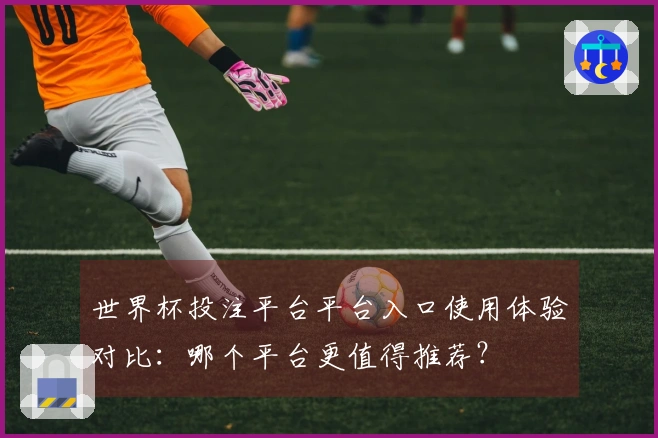 世界杯投注平台平台入口使用体验对比：哪个平台更值得推荐？