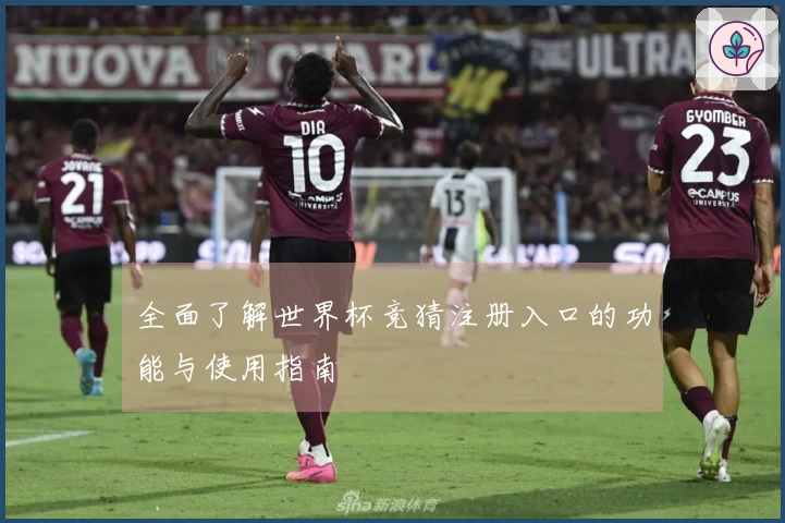 全面了解世界杯竞猜注册入口的功能与使用指南