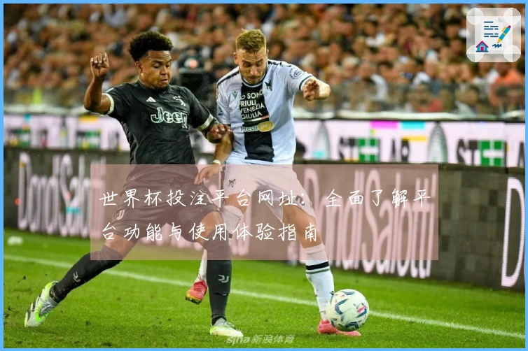 世界杯投注平台网址：全面了解平台功能与使用体验指南