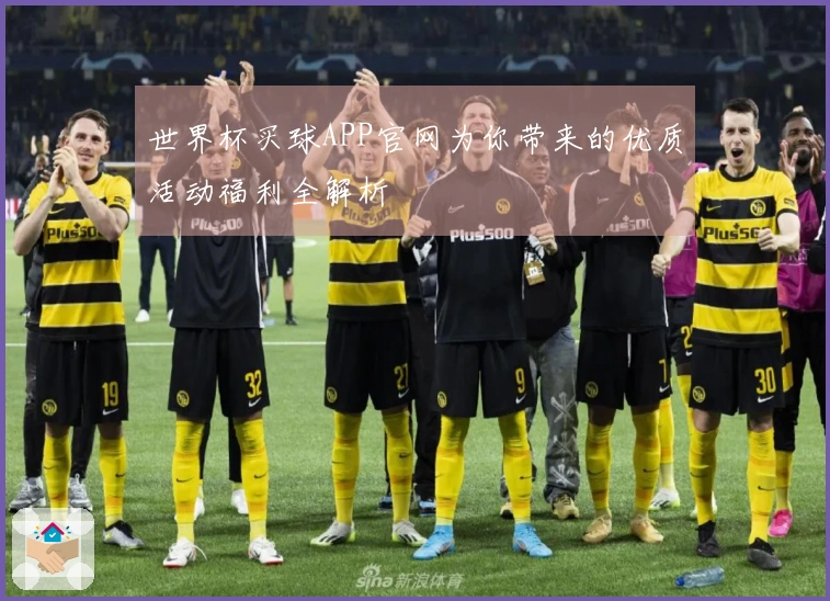 世界杯买球APP官网为你带来的优质活动福利全解析