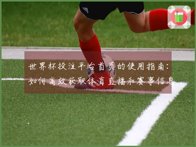 世界杯投注平台首页的使用指南：如何高效获取体育直播和赛事信息
