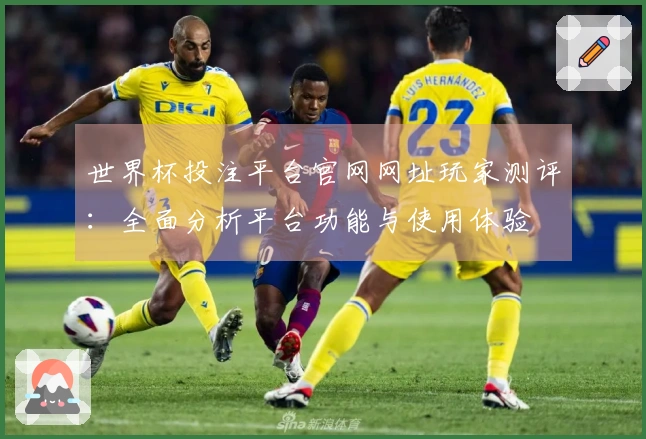 世界杯投注平台官网网址玩家测评：全面分析平台功能与使用体验