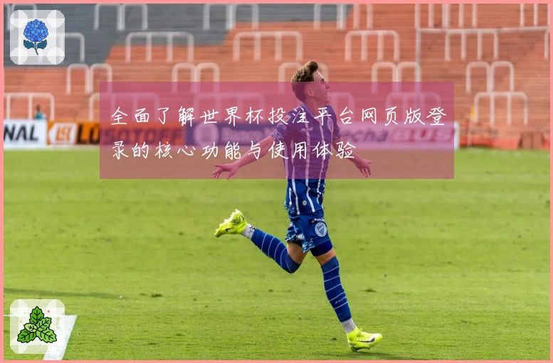 全面了解世界杯投注平台网页版登录的核心功能与使用体验