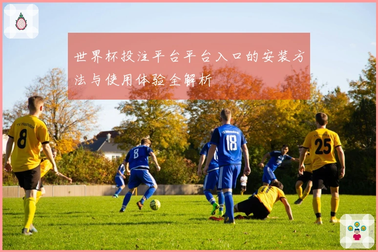 世界杯投注平台平台入口的安装方法与使用体验全解析