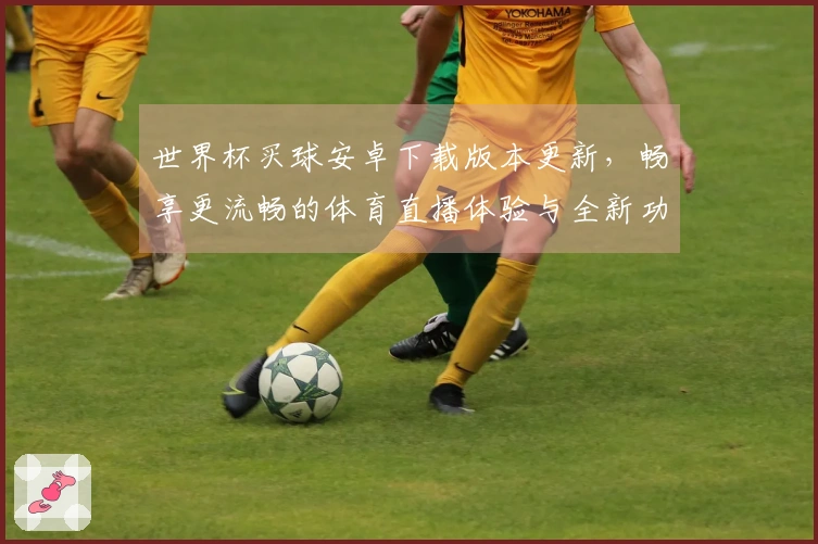 世界杯买球安卓下载版本更新，畅享更流畅的体育直播体验与全新功能介绍