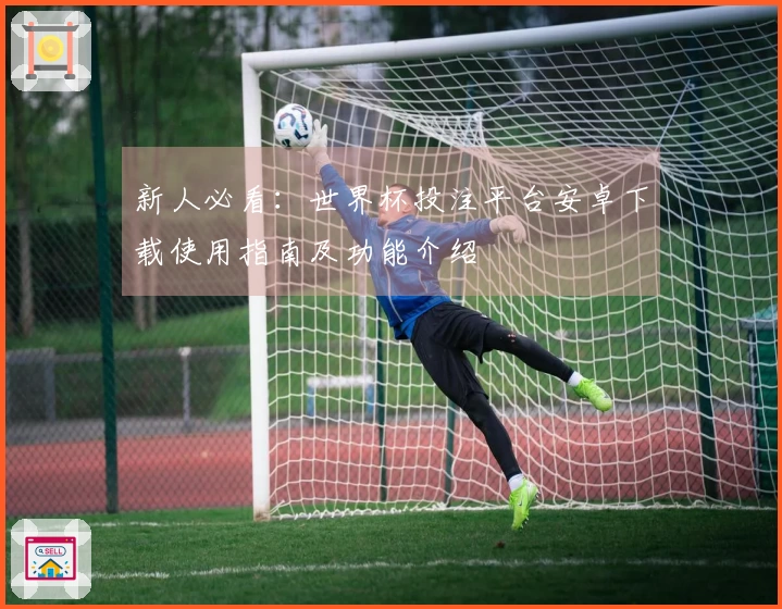 新人必看：世界杯投注平台安卓下载使用指南及功能介绍