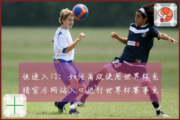 快速入门：如何高效使用世界杯竞猜官方网站入口进行世界杯赛事竞猜