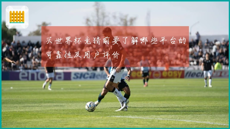 买世界杯竞猜前要了解哪些平台的可靠性及用户评价