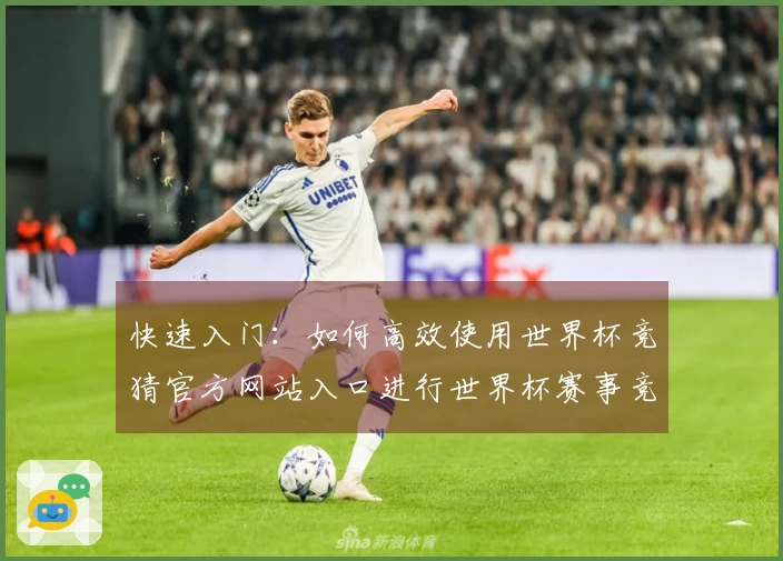 快速入门:如何高效使用世界杯竞猜官方网站入口进行世界杯赛事竞猜
