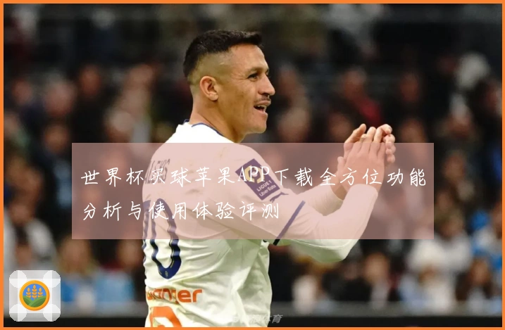 世界杯买球苹果APP下载全方位功能分析与使用体验评测